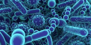 Curso de microbioma humano