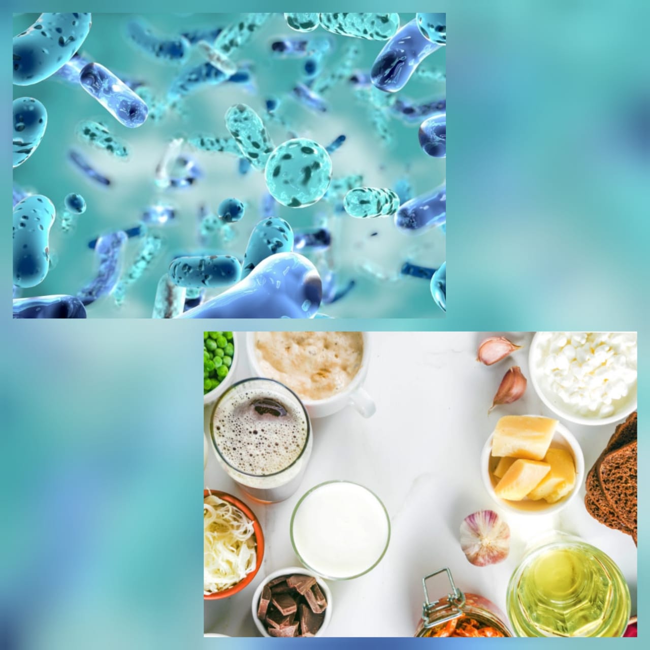 Curso de Microbiota intestinal y alimentación
