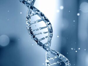 Curso de Biología Molecular